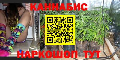 герыч Кингисепп